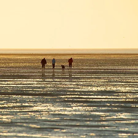 شقة Nordseepanorama In Der De Spant دورم نيوفيلد