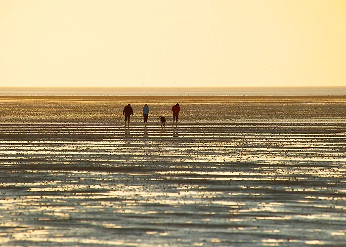 شقة Nordseepanorama In Der De Spant دورم نيوفيلد